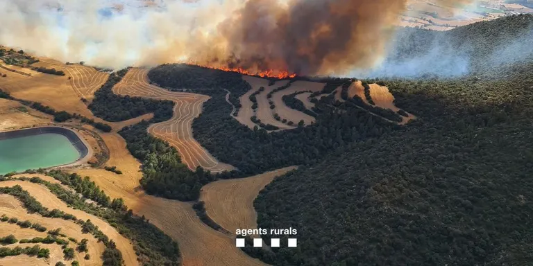 El foc d'Artesa de Segre continua actiu i ha afectat fins ara 75 hectàrees, meitat agrícoles meitat forestals