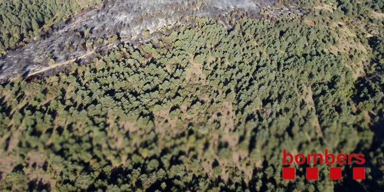 Els Bombers de la Generalitat donen per extingit l'incendi de vegetació forestal de Vilamitjana