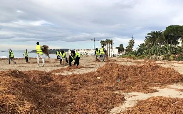 El 10 de maig s'obre la preinscripció escolar al PFI-PTT en Auxiliar de Vivers i Jardins d'Altafulla