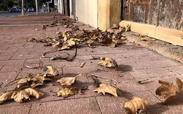 Foto: Altafulla Ràdio