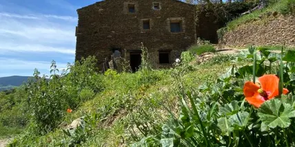 L'Associació de Veïns i Amics de Solanell publica un manifest a favor de la candidatura Pirineus-Barcelona als Jocs d'Hivern