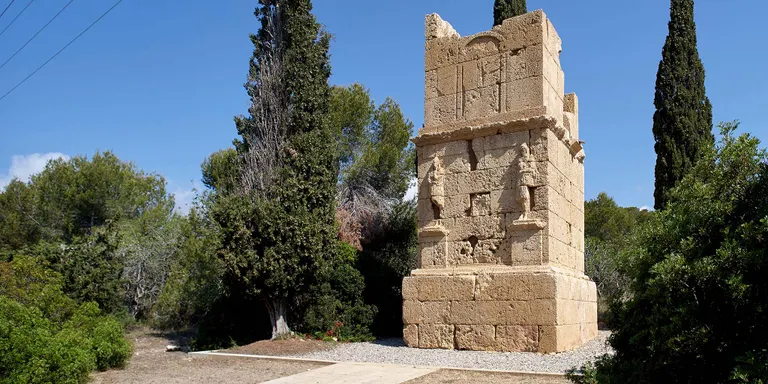 Noves sortides de La Torre Camina