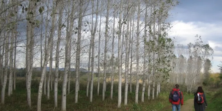 El Consell Comarcal de la Selva rebrà 2,8 MEUR dels fons europeus Next Generation