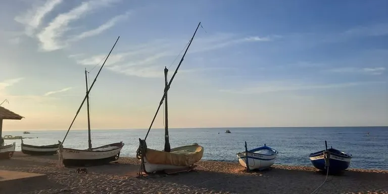 Dia de sol i calor intensa d'estiu