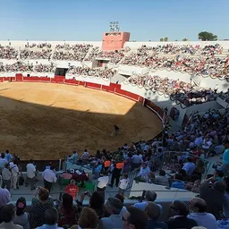 Manolo Viera en Toros y Punto - episode art