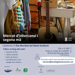 #527 - Entrevista Georgina Florejachs Mercat d'Intercanvi i segona mà - episode art