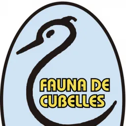 2019_08_21_CARLES RIOS_CAMINADA NOCTURNA BOSCOS CUBELLES_ 24 Agost - episode art