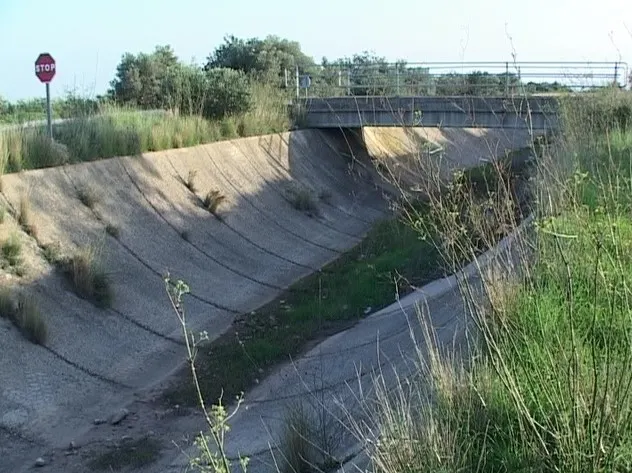 El sector de l’olivera reclama agilitzar el regadiu del Xerta-Sénia davant els períodes de sequera extrema
