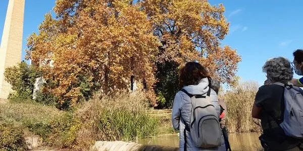 La Sínia reprendrà les visites guiades al Centre d’Interpretació del Riu Gaià i l’entorn de la resclosa del Catllar el 15 de gener