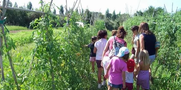 La distinció de l'Hort de la Sínia com a Centre Blau, un reconeixement simbòlic a una feina ben feta