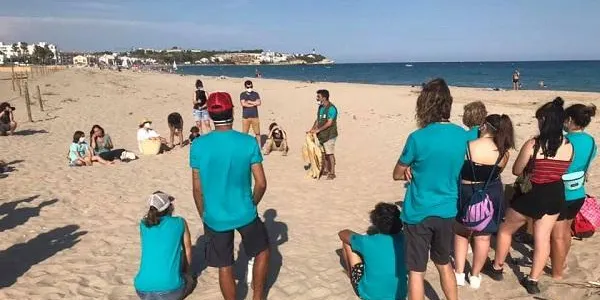 Nova oportunitat per formar-se en el seguiment de la tortuga babaua, aquest dimecres a Altafulla