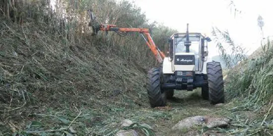 L'ACA destinarà 12.000 a la neteja de la Riera de Pineda