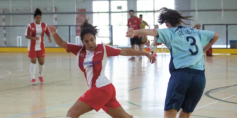 Cites a casa per a recuperar sensacions