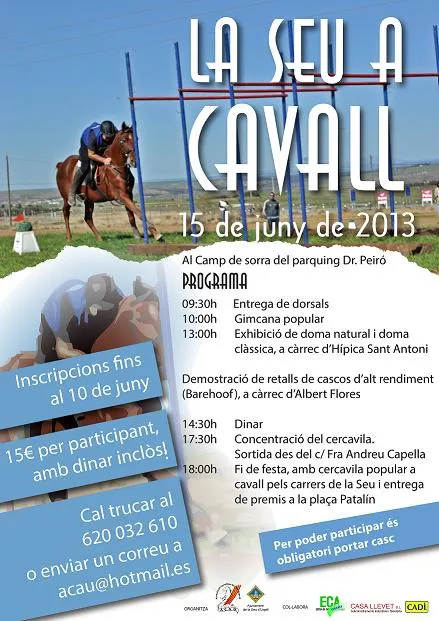 La Seu organitza una festa dedicada al cavall