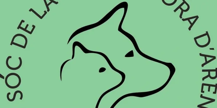 La Protectora d’Animals d’Arenys continuarà recollint gossos abandonats fins que l’Ajuntament adjudiqui de nou el servei