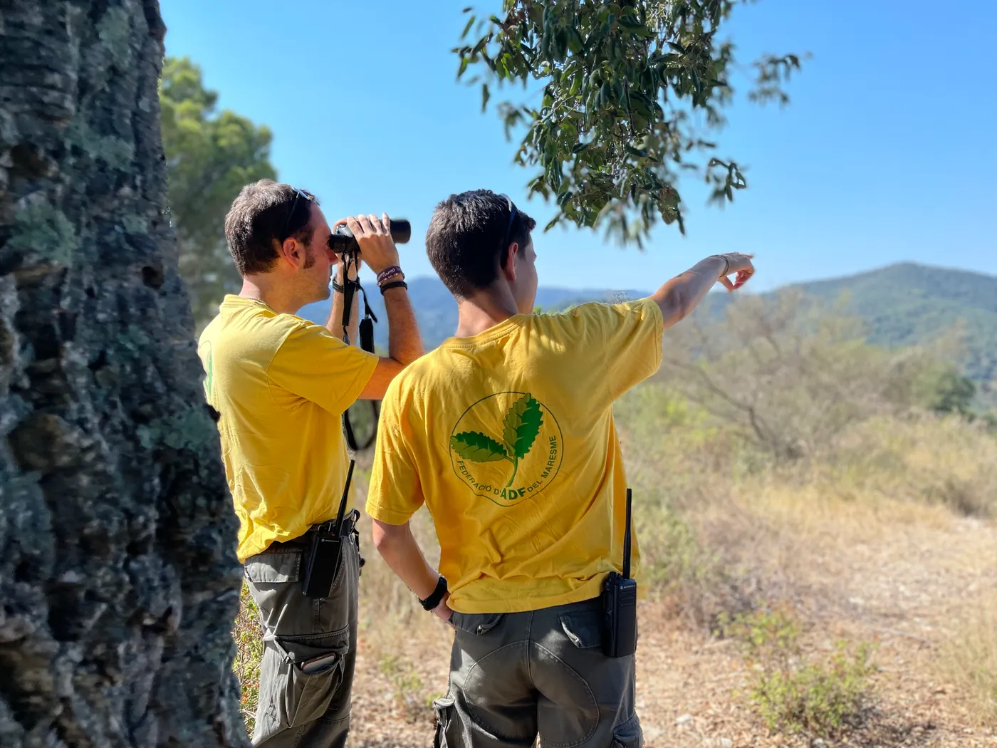 Comença un període de molta calor amb risc molt alt d'incendi forestal al Maresme