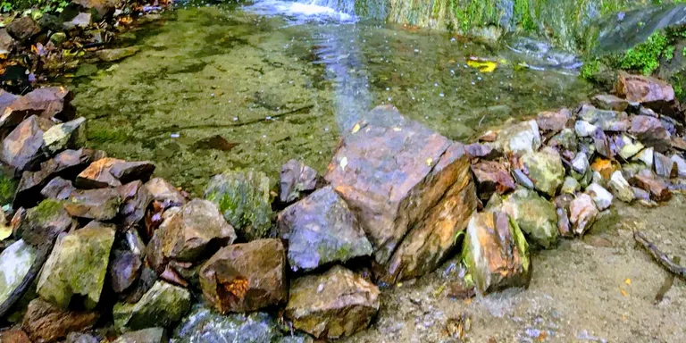 S'obren clarianes i ambient de tardor
