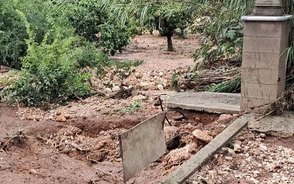 Foto: Federació de Cooperatives Agràries de Catalunya