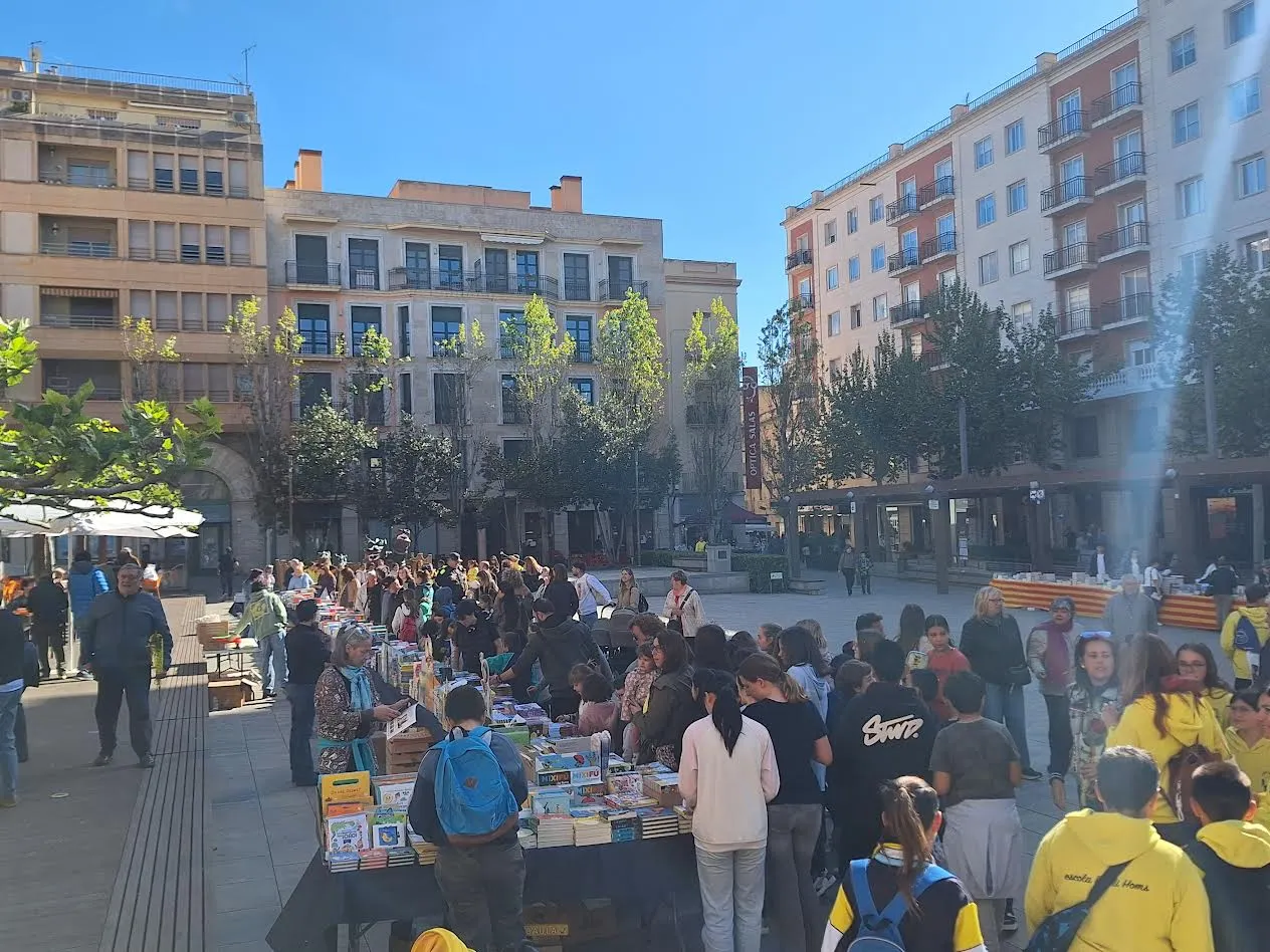 Dracs, llibres i roses s’exposen al carrer
