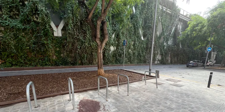 Cinc detinguts d'entre 16 i 20 anys per la mort violenta d'un menor a Sants