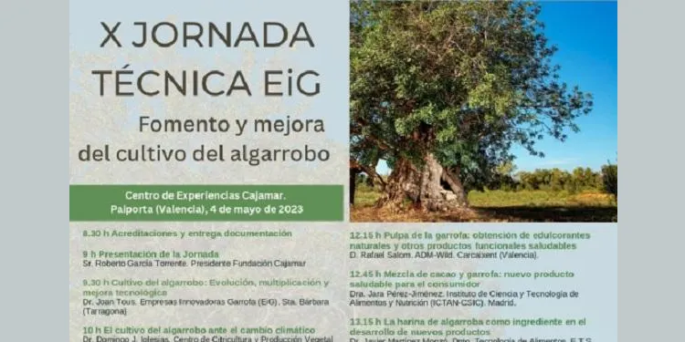 Altafulla serà la seu d'una jornada tècnica estatal sobre la garrofa