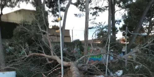 Mesures preventives per fer front al temporal de vent