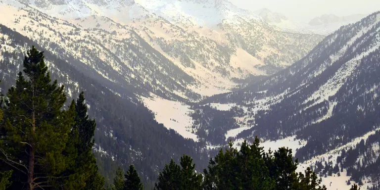 La pols sahariana tenyeix de marró la neu del Pirineu