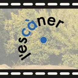 L'escanner 18/12/2021 - episode art