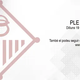 Ple extraordinari 19 d'octubre 2020 del 19/10/2020 - episode art