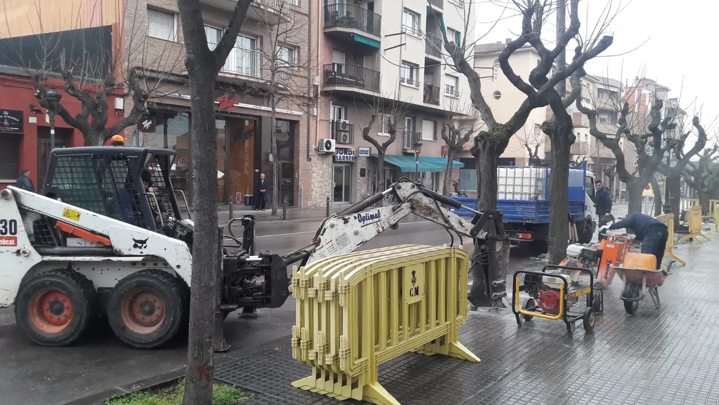 Han començat els treballs per la substitució d'arbres a la via pública
