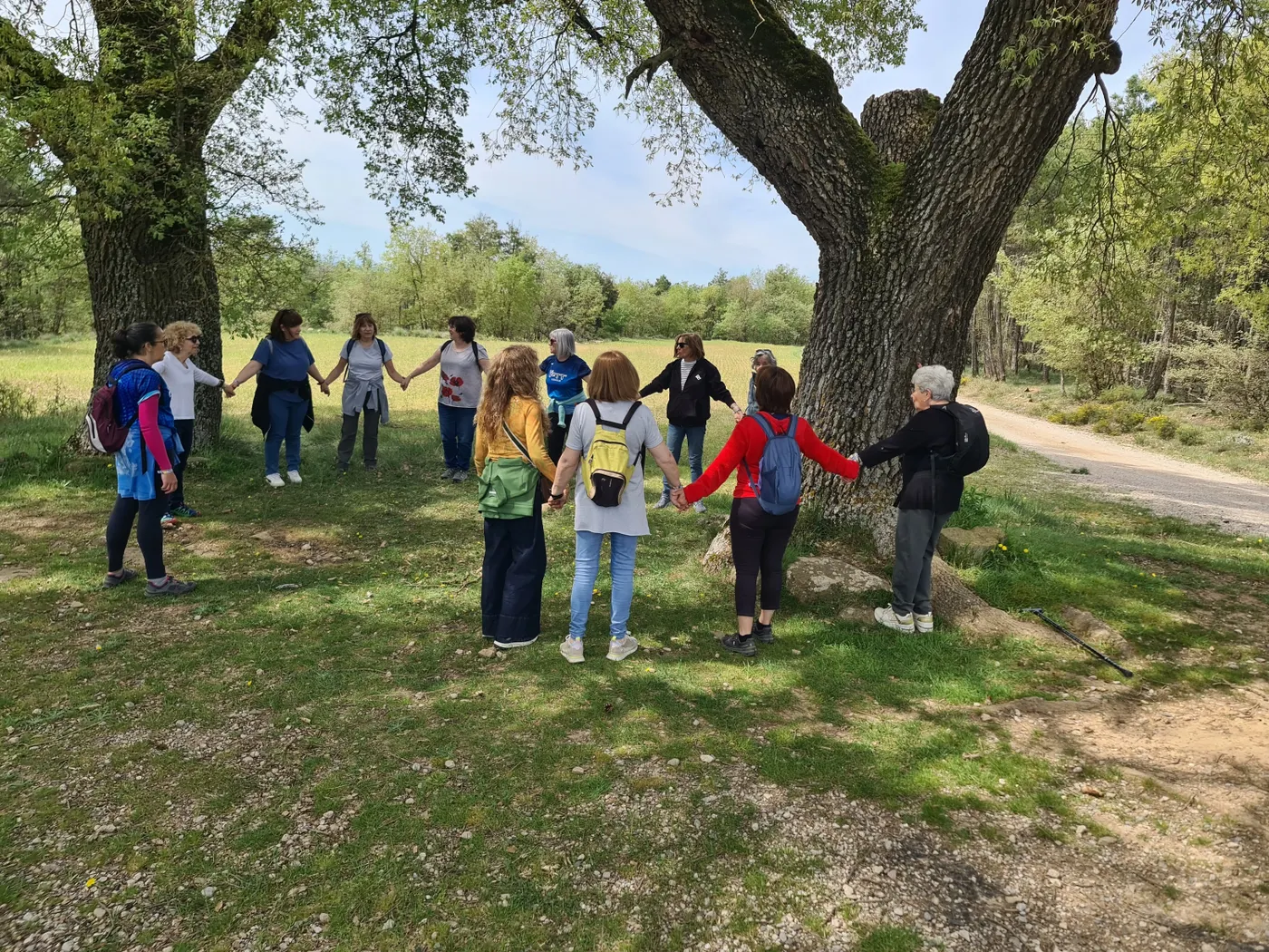 Fènix i el Centre Sanitari del Solsonès organitzen un bany de bosc