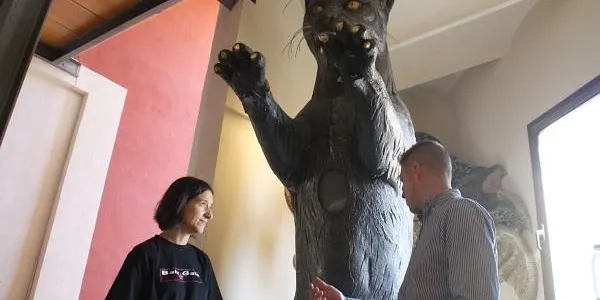 El Gat d'Altafulla serà un dels grans protagonistes de la FM de Sant Martí, amb una baixada per les escales cap a la plaça del Pou