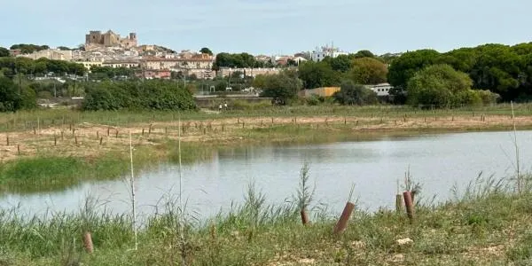 La renaturalització de la plana del Vinyet ja és una realitat