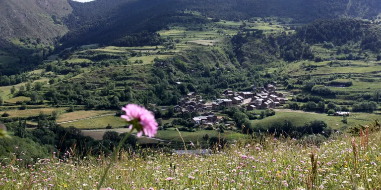 Catalunya, Andorra i França creen la primera xarxa transfronterera de laboratoris botànics a cel obert a Europa