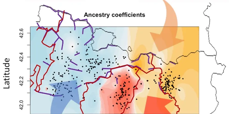 Les fronteres dels bisbats i l'orografia de muntanya han modelat el perfil genètic de la població del Pirineu català