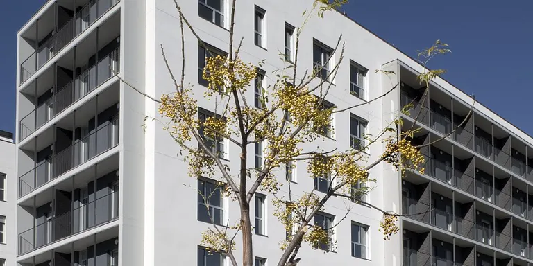 La Generalitat obre el termini perquè els joves puguin demanar ajuts pel lloguer de l’habitatge