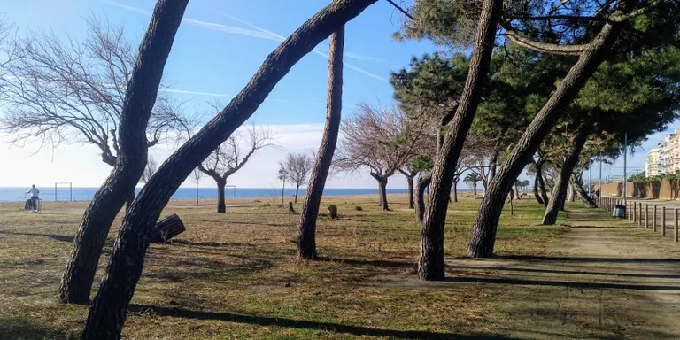El Comitè científic presenta les estratègies pel Maresme davant el canvi Climàtic