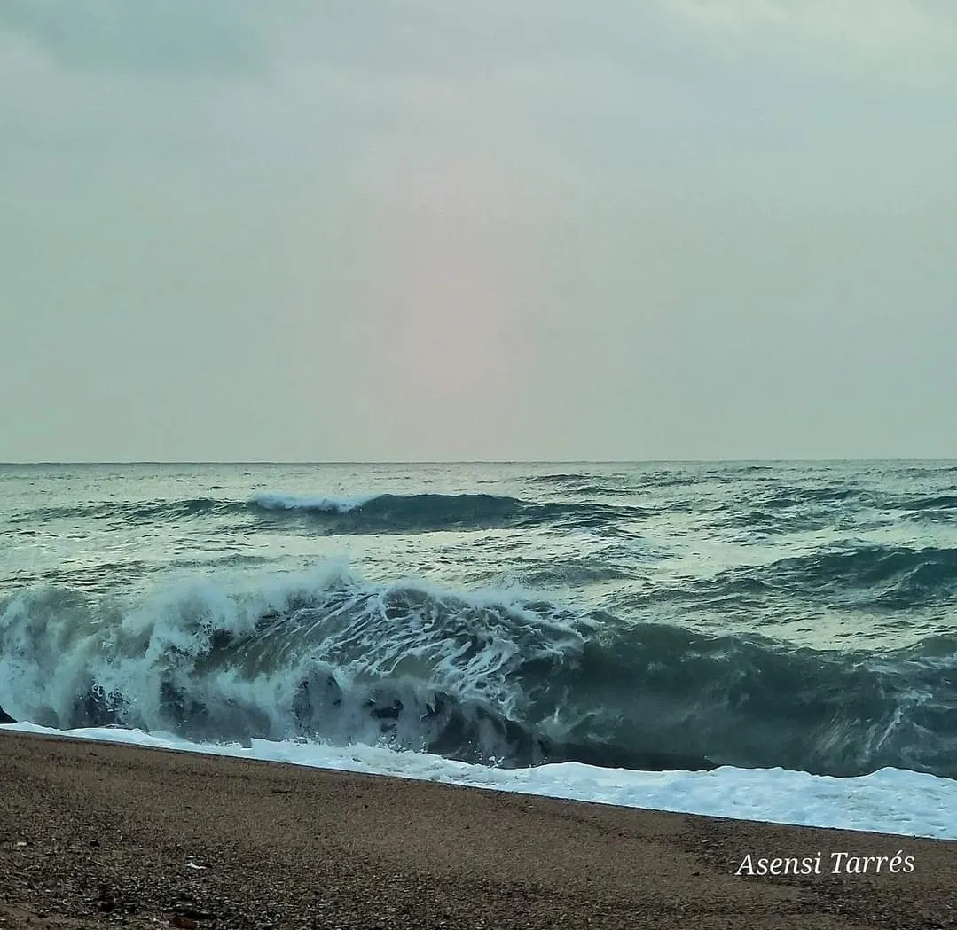 Dies de sol, vent de garbí, mala mar i poca pluja