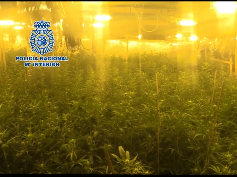 Imatge de la Policia Nacional