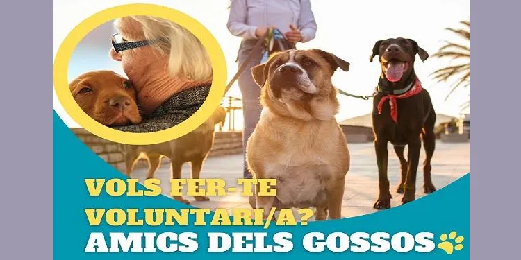 L’Ajuntament d’Altafulla busca voluntaris per al programa ‘Amics dels Gossos – Caminem Junts’