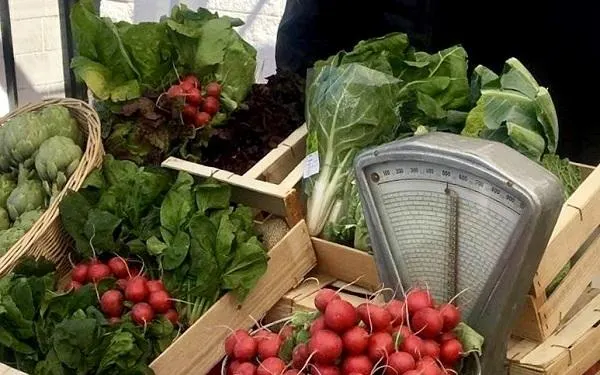 Foto: Horta Germans Blanch