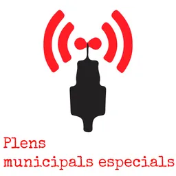 Ple Municipal del 8/9/2022 - episode art
