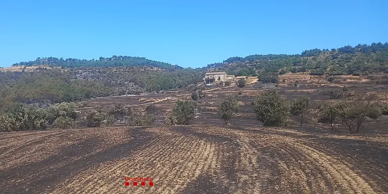 Els Bombers segueixen remullant la zona afectada per l'incendi de Pinell d'ahir a la tarda, que va cremar 35 hectàrees