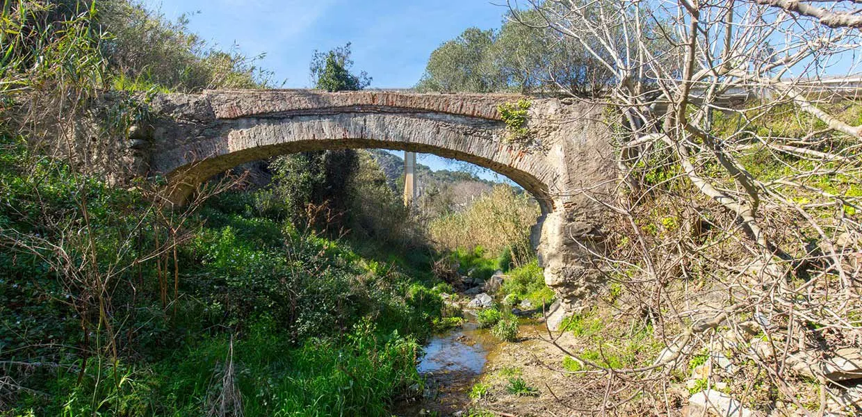 Passejada per la Riera de Pineda dins del projecte 'Parcs i biblioteques...naturalment!'