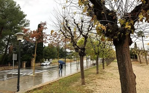 Foto: Altafulla Ràdio