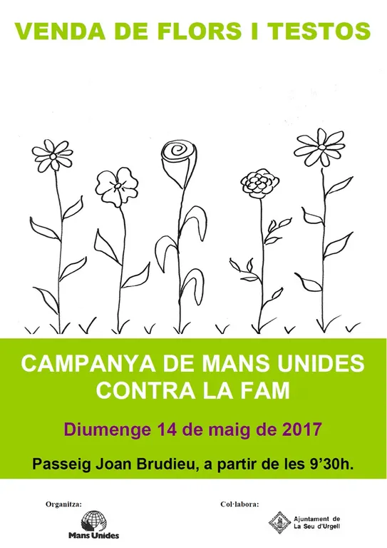 Venda solidària de flors i testos al passeig de Joan Brudieu de la Seu