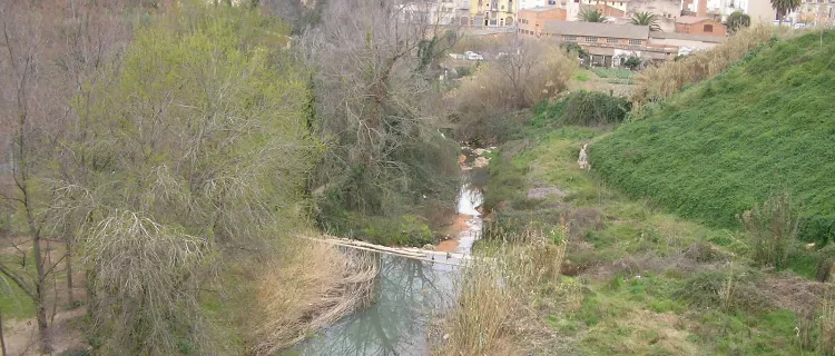 Es prorroga el conveni entre URV i Consell Comarcal de l’Alt Camp per promoure l’educació ambiental a les escoles