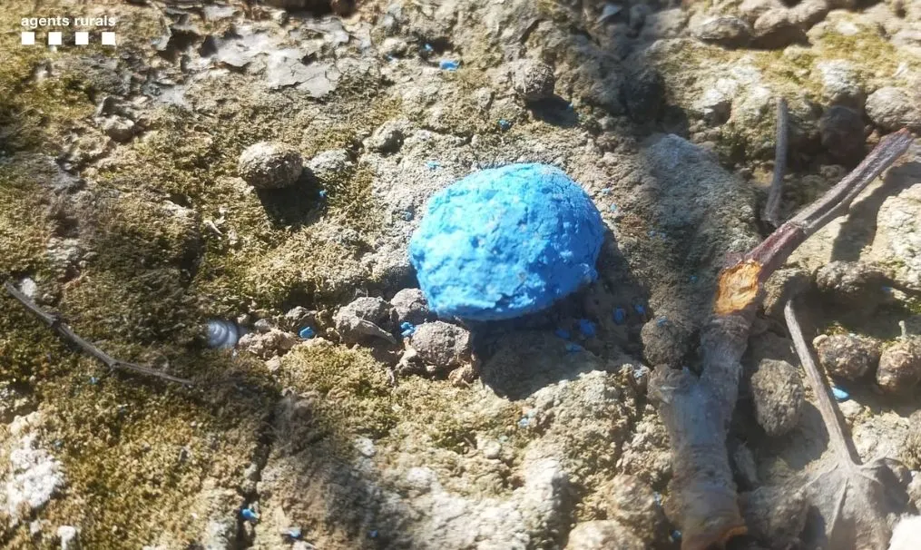 Els Agents Rurals recorden que l'ús freqüentat de raticides en el camp per eliminar conills i altres rosegadors està prohibida i poden afectar a altres animals