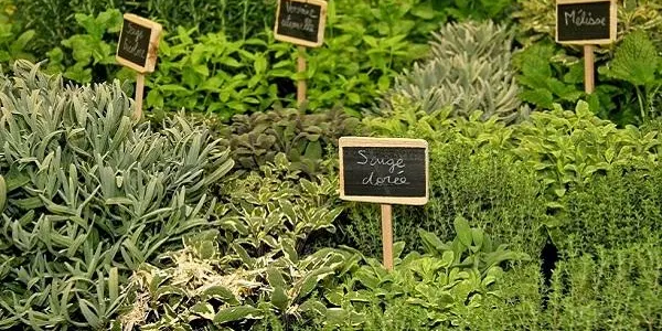 L’hort domèstic protagonitza la nova sessió de l’Escola El Corriol a la Finca Canyadell d’Altafulla