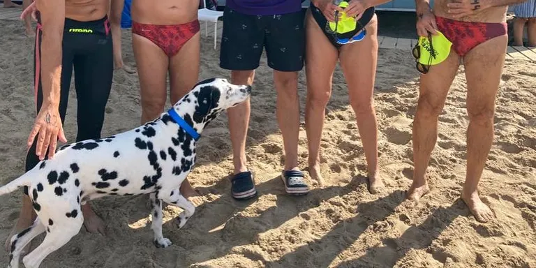 Joan Carles Adell i Braian Meier es pengen la medalla d’or a la Travessia de Salou